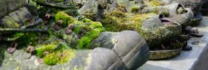 Wanderschuhe & Empfehlungen in der Wanderbox von Ahrtalwandern