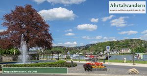 Kripp am Rhein am 4.5.2016