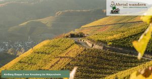 AhrSteig von Kreuzberg bis Walporzheim, Etappe 5