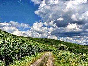 Wandern im Ahrtal auf Rotweinwanderweg und Ahrsteig