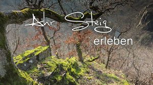 AhrSteig erleben von Kreuzberg bis Walporzheim auf Etappe 5