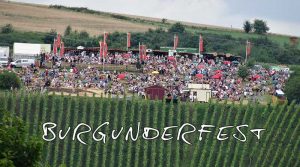 Burgunderfest in den Weinbergen oberhalb von Bad Neuenahr, wandern & feiern in den Weinbergen