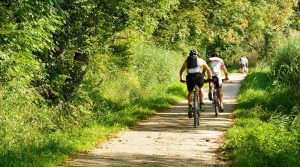 Radfahren im Ahrtal von Blankenheim bis Sinzig