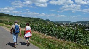 Wandern auf AhrSteig und Rotweinwanderweg im Ahrtal