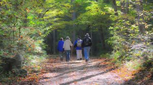 Ahrtalwandern, wandern, radfahren und Erlebnisse im Ahrtal