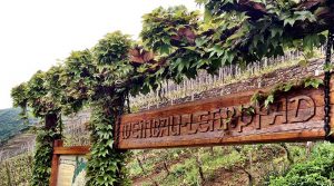 Der Weinbaulehrpfad von Ahrweiler bis Walporzheim