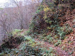 Ahrsteig-Lueckenschluss-hans-joachim-schneider