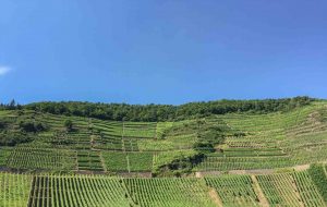 Ahrtalwandern wandern im Ahrtal