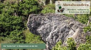 Bunte Kuh Walporzheim an der Ahr im Ahrtal von Ahrtalwandern