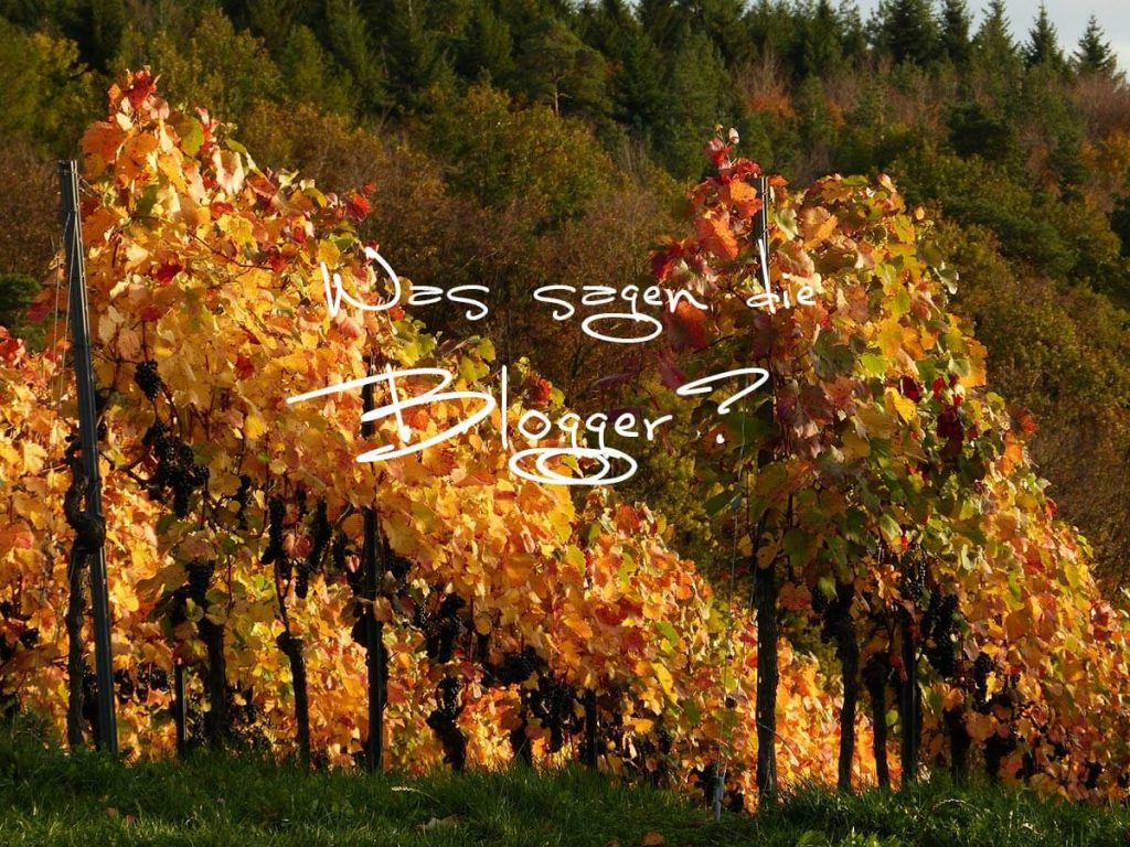 Was sagen Blogger zum Ahrtal Ahrtalblogger