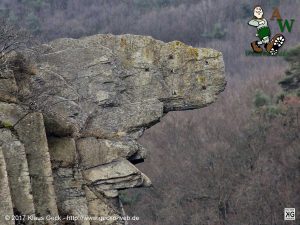 Bunte Kuh bei Walporzheim an der Ahr im Ahrtal