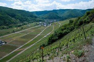Robert Brands Wanderblogger auf Ahrtalwandern, Blick Richtung Rech