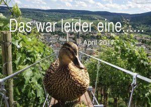Hängeseilbrücke April-2017