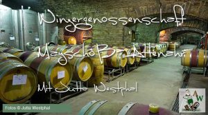 Besichtigung der Winzergenossenschaft Mayschoss durch die Wanderblogger um Jutta Westphal