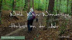 Wald Wein Wanderung an der Ahr von Elke Bitzer für Ahrtalwandern