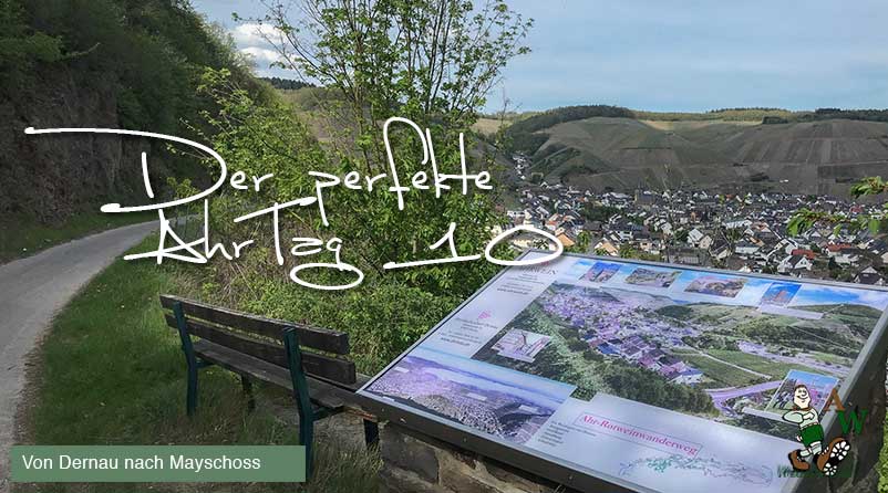Der perfekte AhrTag 10 von Dernau nach Mayschoss @ Michael Lentz Ahrtalwandern 2019